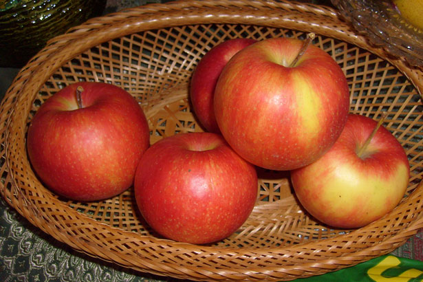 Apples.jpg