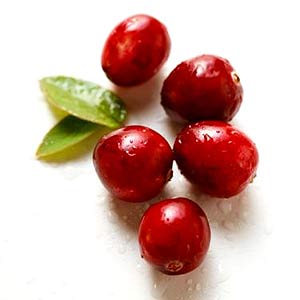 Cranberry.jpg