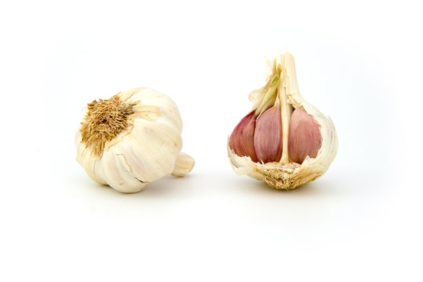 Garlic.jpg