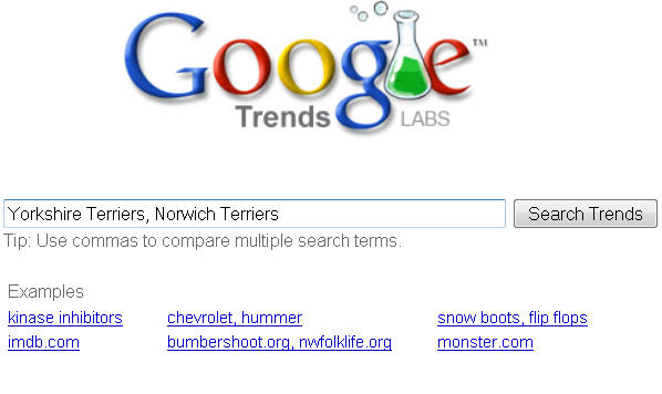 Google Trends.jpg