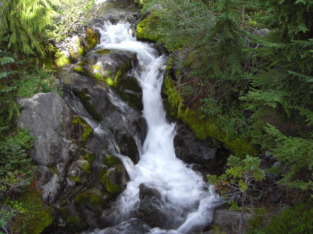 Photo by Robert Kraft.jpg