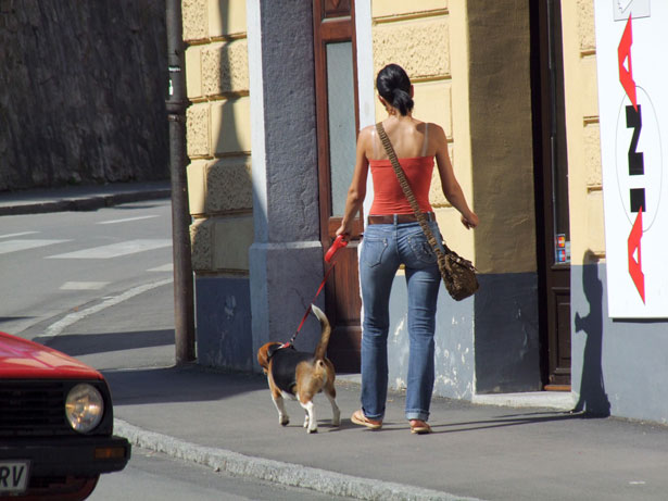 Walking the Dog.jpg