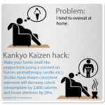 Click here to see Kankyo Kaizen Weight Loss HackPack Card #3